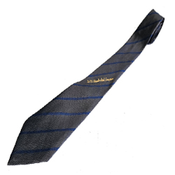 D.A.V. Long Tie - Class 11th & 12th