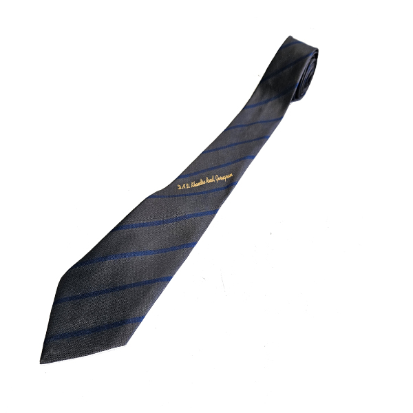 D.A.V. Long Tie - Class 11th & 12th